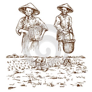 Asian farmers working on Field.