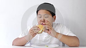 Asian fat boy eats hamburger Wear a white shirt.