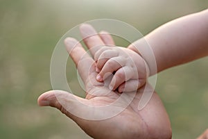 Father touching and holding Little tiny Baby hand