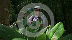 Asian female botanist is observing and taking note the characteristics of green plants that growing in tropical rainforest.