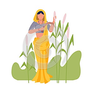 Asian Female Farmer with Hook Reaping Plant Vector Illustration photo