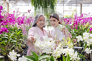 Asian female gardener and Asian women are shopping planting flowers in the greenhouse with the plant.