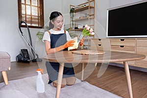 Asian female housekeeper cleaning the house using spray and cleaning cloth at the table in the living room