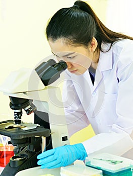 Medical technologist working in laboratory photo