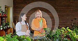 Asian female owner showing flower plant in pot to mid adult female customer at floral store. Smiling woman customer at a