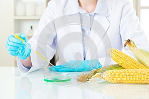 Asian female scientist doing corn genetic modification research