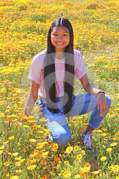 Asian female teenager in a field of wild African Daisy, Osteospermum, Mesa, Arizona, Maricopa County