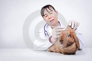 Asian female vet examined for rabbit disease Use cotton buds to scrape the germs on the ears for analysis in the laboratory.