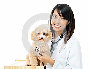 Asian female veterinarian