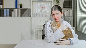 asian female veterinarian holding a cute cat on a diagnosis table in clinic