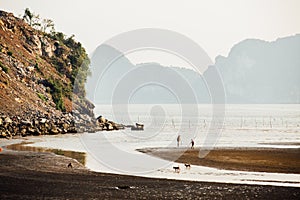 Asian Fishermen go on shore and hunt for fish in the shallows. A