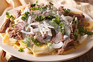 Asian Food: beshbarmak close-up on a plate. horizontal