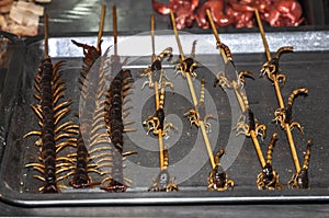 Asian food. Fried centipedes and scorpions on skewers