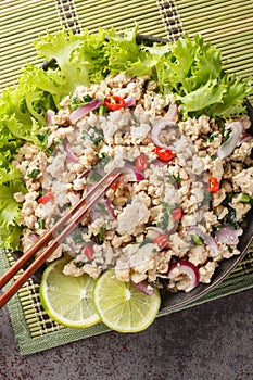 Asian food Thai chicken salad larb gai with onion and greens closeup on the plate on the table. Vertical top view
