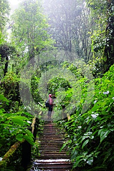 Asian freedom woman is backpack happy on wooden bridge in Tropical rain forest and jungle with fog in the morning during the