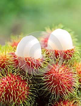 Asian fruit rambutan