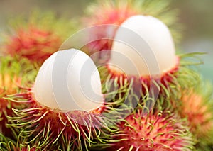 Asian fruit rambutan