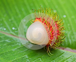 Asian fruit rambutan