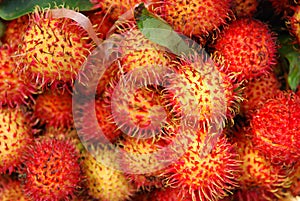 Asian fruit rambutan