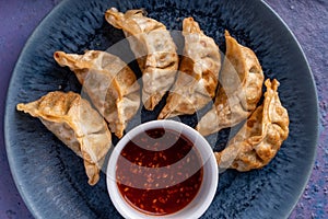 Asian fusion vegan meat-free dumplings with sweet hot sesame sauce