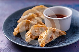 Asian fusion vegan meat-free dumplings with sweet hot sesame sauce