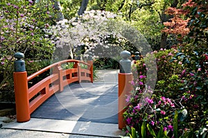 Asiático jardín 