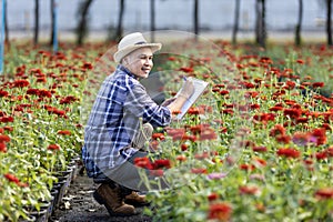 Asian gardener is taking note using clip board on the growth and health of red zinnia plant while working in his rural field farm