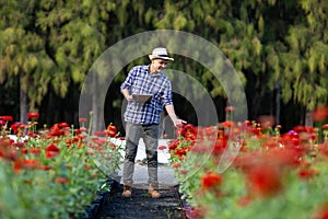 Asian gardener is taking note using clip board on the growth and health of red zinnia plant while working in his rural field farm