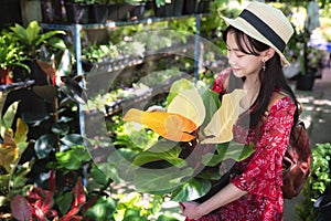 Asian girl and Cherry red Philodendron tree