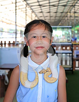 Asian girl child with pet snake or royal albino python (Boa constrictor snake)