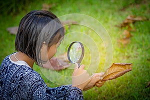 Asian girl explore tree