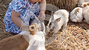 Asian girl with fluffy rabbits in farm