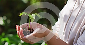 Asian girl holding plant in garden on sunny day