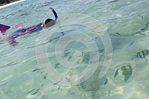 Asian girl looks at fish while snorkelling