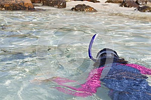 Asian girl snorkels while heading to shore photo