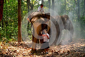 Asian girl with student uniform read book and stand near elephant with one boy stay on its head or back and they stay in forest in