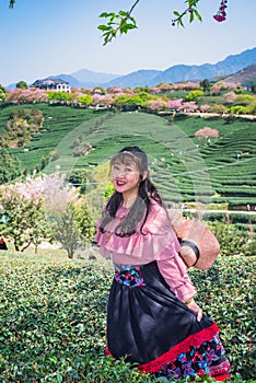 Asian girls in the tea garden in spring