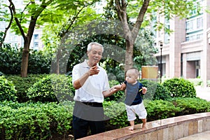 Asian grandfather and grandson