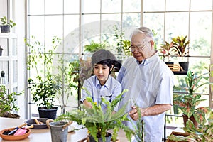 Asian grandfather and his grandson spent time together in the garden