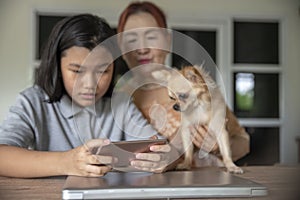 Asian grandmother and Kid using mobile phone together. Thai Elderly Woman and Child learn online study at home. Grandmother