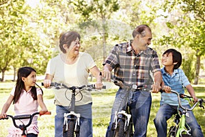 Asian grandparents and grandchildren riding bikes in park photo