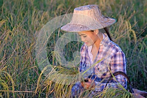 Asian happy thai female farmer harvesting rice in countryside