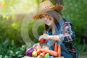 Asian happy women farmer holding a basket of vegetables organic in the vineyard outdoors