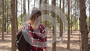 Asian hiker woman trekking in forest. Young happy backpack girl walking enjoy her journey, travel nature and adventure trip, climb