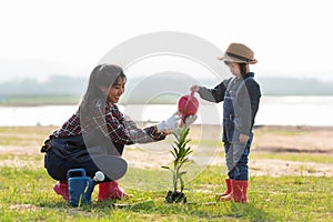 Asian  kid daughter helping mother water the plant and sapling tree outdoors in nature spring for reduce global