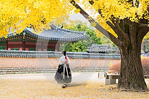 Asian Korean woman dressed Hanbok in traditional dress walking in Gyeongbokgung Palace in autumn season at Seoul, South Korea