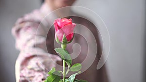 Asian lady with smile give a pink roses to you. for your love one. Slow Motion. in Valentine case.