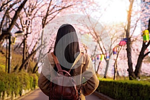 Asian lady travel in cherry blossom park in Seoul city