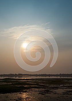 Asian lake with water plants sunbeams orange sun blue sky beautiful sunset