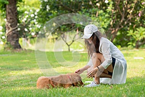 Asian lifestyle woman playing with dog golden retriever friendship so happy